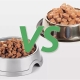 Wet and dry food: what is the best way to feed a cat?