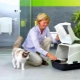 Closed toilets for cats and cats: description, selection and use