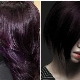Black-purple hair color: options and dyeing technique