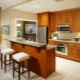 Interior design kitchen with a breakfast bar