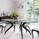 Design chairs for the kitchen: features, varieties and selection tips