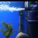 Filters for an aquarium: description, types, selection and application