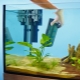 How to install the filter in the aquarium?