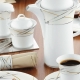 Coffee sets: types, manufacturers overview and selection features