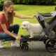 Strollers for dogs: types, features of choice and use