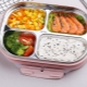 Heated food containers: description, types and selection tips