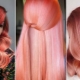 Coral hair color: shades, rules for choosing and dyeing