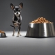 Food for toy terrier: what are and how to choose?