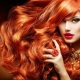 Copper hair color: fashionable shades and coloring tips