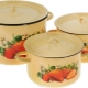 Enamel pan sets: types and nuances of choice