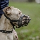 Muzzles for dogs: types and sizes