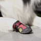 Dog shoes: types and recommendations for choice