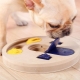 Educational toys for dogs