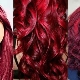 Ruby hair color: shades, choice of paint, care tips