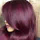 Plum hair color: who is suitable and how to get it?