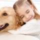 Dogs for children: description and choice of breeds