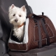 Carrying bag for dogs of small breeds