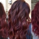Wine hair color: shades, selection and care