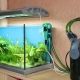 External filters for the aquarium: device, selection and installation