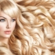 Golden blond: who cares for hair color and how to get it?