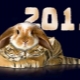 2011 is the year of which animal and what does it bear for those born at this time?