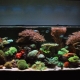 Aquariums of 500 liters: their size and launch