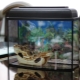 Aquariums 10 l: varieties, selection, equipment and maintenance