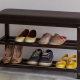 Bench with a shelf for shoes in the hallway: types and recommendations for selection