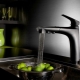 Black kitchen faucets: varieties, tips for selection and care