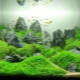 100 L Aquarium Design