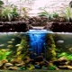 Phytofilters for an aquarium: purpose and variety, DIY manufacturing