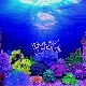 Background for the aquarium: types, selection and installation