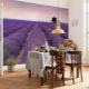Wall murals in the kitchen, expanding the space: varieties, choice and installation rules