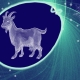 Year of the Goat: Feature and Compatibility