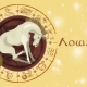 Year of the Horse: characteristics and types of elements