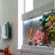 Artificial aquarium: types and applications