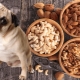 Which can and cannot be given nuts to dogs?