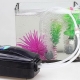 Aquarium compressors: what is it for, how to choose and install?