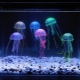 Jellyfish in the aquarium: what are and how to keep them?