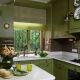 Olive Kitchens: Color Feature and Popular Combinations