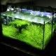 Aquarium Lighting: Selecting and Using Lamps