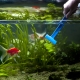 Proper cleaning of the aquarium at home
