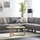 Gray sofa in the living room interior: views, what to combine with and how to choose?