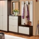 Wardrobe in the hallway: design, types and selection