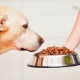 How much dry food per day does a dog need to give?