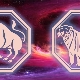 Bull and Tiger Compatibility