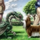 Compatibility of Dragons and Dogs in different aspects of life