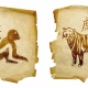 Tiger and Monkey Compatibility