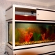 Shelving for aquariums: selection and creation