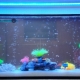 LED Aquarium Ribbon: Selection and Placement Tips